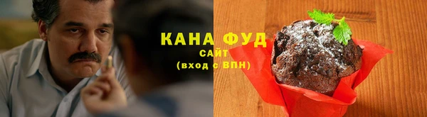 гашик Алексеевка