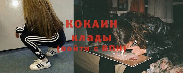 МДПВ Нея
