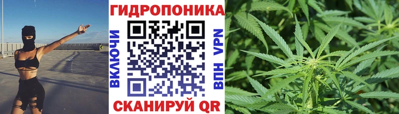 Каннабис семена Боготол